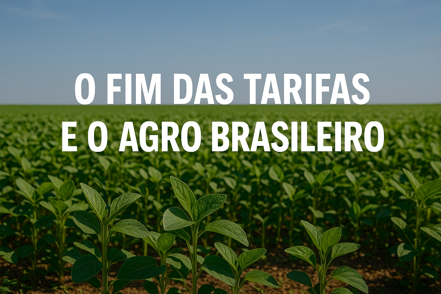 Impacto do fim das tarifas no mercado do agro Brasileiro
